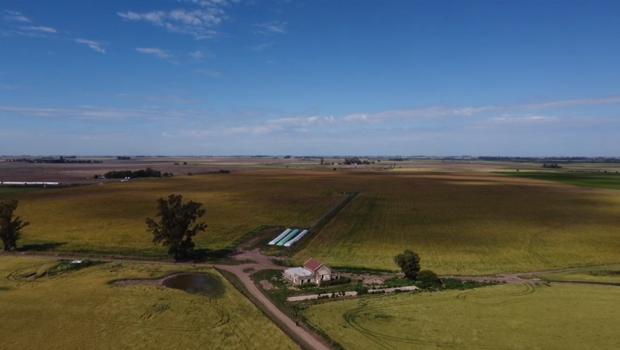 Campo María