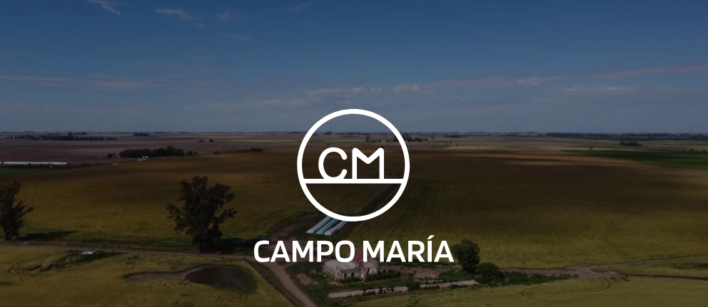 Campo María - Producción agropecuaria